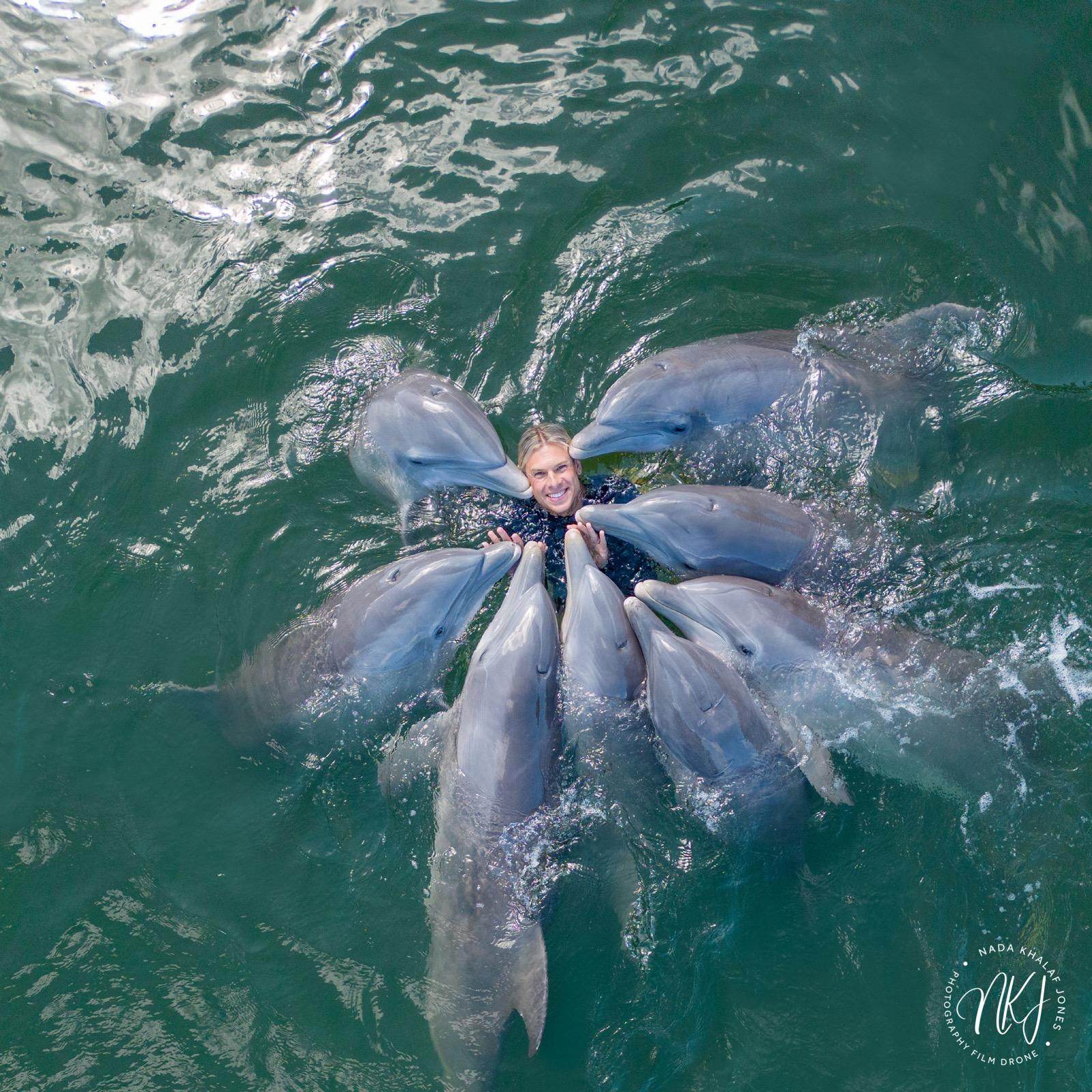 Read more about the article Moments That Matter – Island Dolphin Care